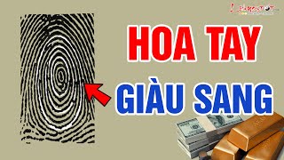 Xem Bói Hoa Tay Đoán Vận Mệnh Giàu Sang Phú Quý Chuẩn Xác Nhất - Tướng Số