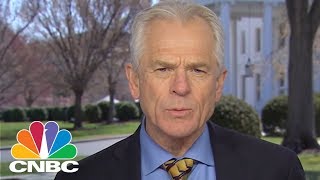 Peter Navarro: We've Made Great Progress On Trade | CNBC