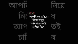 আপনি যত মানিয়ে নিবেন মানুষ আপনাকে তত‌ই চাপিয়ে দিবে..!