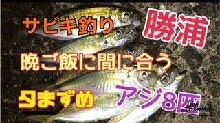 今日の進撃のカツオとワカメいつもの釣り場勝浦でアジ！千葉県勝浦の夕まずめからアジ釣りました★