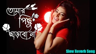 তোমার পিছু ছাড়বো না। Tomar Pichu Charbo Na Bengali Album Lofi Song