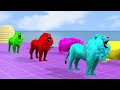 paint animals cow elephant lion gorilla buffalo t rex fountain crossing transformation cartoon