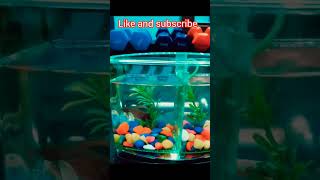 #fish #fishvideo #watercolor #home #trending #tamillyrics #dhanush #arrahman #arrahmanmusic #ytshort