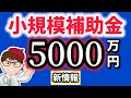 新・小規模事業者補助金１５００万円・５０００万円・地域経済循環創造事業交付金・ローカル10,000プロジェクト【中小企業診断士YouTuber マキノヤ先生】第1990回