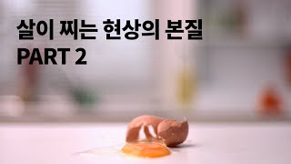 살이 찌는 현상에 대한 과학적 설명, 2편