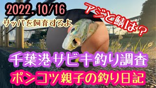 2022.10/16【千葉港】サビキ釣り調査！