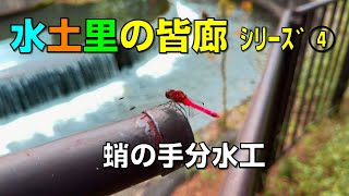 【水土里の皆廊④】蛸の手分水工【岩手県奥州市】【みどりのかいろう】