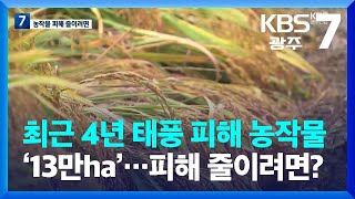 최근 4년 태풍 피해 농작물 ‘13만ha’…피해 줄이려면? / KBS  2023.08.09.