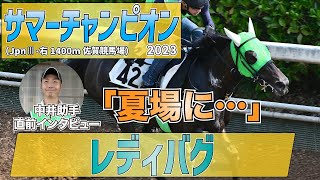 【サマーチャンピオン】レディバグ・中井助手「状態が落ちている感じはないですね」「夏場にはすごく強い馬なので問題ないです」