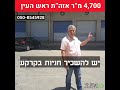 להשכרה מרלו