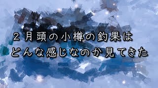 【小樽】２月 ホッケとニシン調査