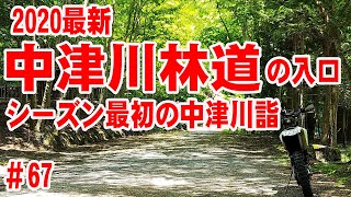 【2020年最新映像】中津川林道（の入口）に行ってきた！【新緑の中津川詣】