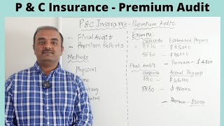 P & C Insurance - Premium Audit