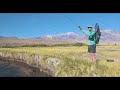 Sunrise and Wild Trout on the Lower Owens River