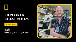 Explorer Classroom | Shipwrecks and Shipworms with Reuben Shipway