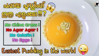 Super Easy Papaya Pudding! | വളരെ എളുപ്പത്തിൽ പപ്പായ പുഡ്ഡിംഗ് | Sameenas Cookery