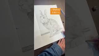 小学5年生　生徒さんウサギ鉛筆画