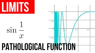 1.6 Limits pathological case sin(1/x)