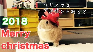 うさ男家のクリスマスパーティー2018 Christmas party #304