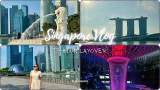 Singapore vlog: How I spend my 19-hour layover in SG | First time staying in Capsule Pod | Raw Vlog