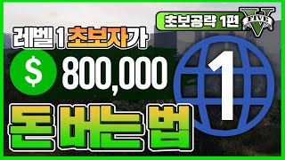 GTA5 레벨1부터 $800,000 돈버는법 /네이비리볼버,돌도끼,더블액션리볼버