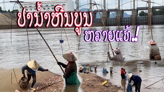 ຊາວບ້ານຈັບປາໄດ້ຫລາຍທີ່ແມ່ນ້ຳຫີນບູນ/ชาวบ้านจับปลาได้เยอะเลยที่นำหีนบูน/Lao local fishing net