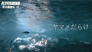 ヤマメだらけ!!　フライフィッシング　北海道渓流釣り