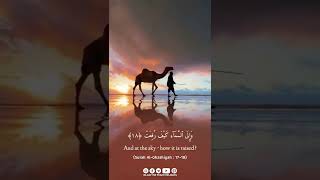 Qur'an 88:17-18 | Beautiful & Heart Touching Qur'an Recitation | English Translation