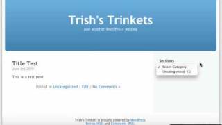 WordPress Tutorial: Working with Widgets