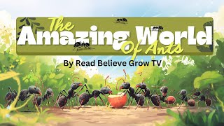 The Amazing World of Ants/ kids educational video #kidseducationalcartoons