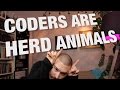 Coders are herd animals - FunFunFunction #18