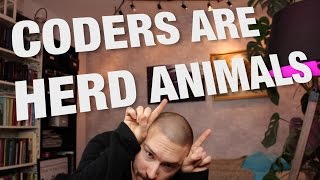 Coders are herd animals - FunFunFunction #18