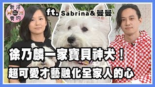 徐乃麟淚崩嫁女兒，Sabrina帶一家人的寶貝神犬曝光！超可愛才藝融化全家人的心【新洋養的】