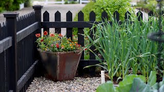 Red Hot Container Arrangement! 😂🔥💃// Garden Answer