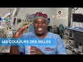 couleurs et odeurs des selles et votre santé le guide complet par @docteursourire 🩺