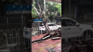 山竹超强台风Typhoon Mangkhut Storm27