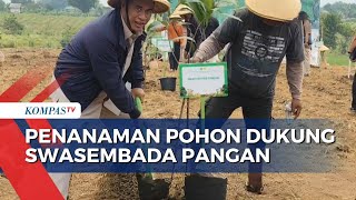 Menhut dan Mentan Tanam Pohon di Kawasan Hutan Cikamurang, Dukung Swasembada Pangan