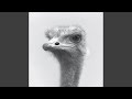 Quetschkommode (Mollono.Bass Remix)