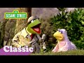 Kermit News: The Bird Family Song | Sesame Street Classic