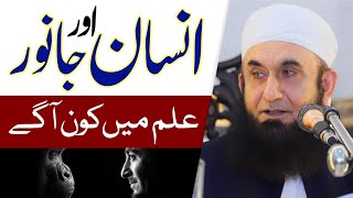 Insan aur Janwar Main Farq | Molana Tariq Jameel Latest Bayan 7-10-2019