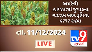 ગુજરાતના વિવિધ APMCમાં તારીખ : 11-12-2024 ના રોજ જુદા જુદા પાકના ભાવ શુ રહ્યા તે જાણો | APMC | #Tv9D