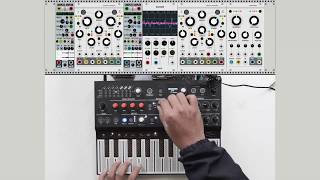 ARTURIA MICROFREAK WITH MODULAR SYNTH AS GENERATIVE EFFECTS PROCESSOR IN VCV RACK