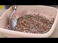 how to make succulent soil with recipe the next gardener