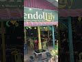 CHAR KUEY TIAW PADU DI CENDOL LILI #viral#pahang#lanchang#makan#padu#charkueyteow