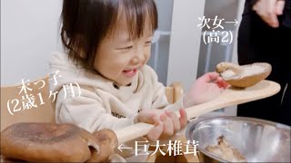 【歳の差姉妹】むっちゃおいしいドーナツを食べた後、椎茸職人になる2歳児。