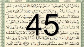 القرآن الكريم - أيمن سويد الصفحة 45