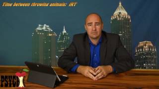 Interresponse Time (IRT)