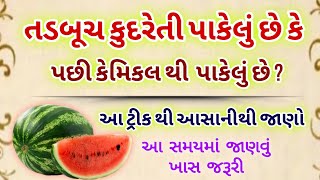 તડબૂચ દવા કે કેમિકલ થી પાકેલું છે કે કુદરતી  જાણો આ ટ્રીક થી | આ સમયમાં જાણવું જરૂરી | #watermelon