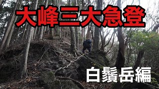 白鬚岳【登山】大峰三大急登を登ったら楽しすぎた　近畿百名山