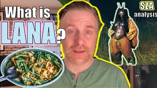 SZA’s Tasty Leftovers - “Lana” analysis